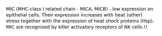 MIC (MHC-class I related chain - MICA, MICB) - low expression on epithelial cells. Their expression increases with heat (other) stress together with the expression of heat shock proteins (Hsp). MIC are recognised by killer activatory receptors of NK cells.!!