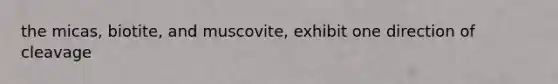 the micas, biotite, and muscovite, exhibit one direction of cleavage