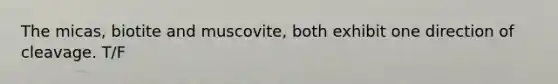 The micas, biotite and muscovite, both exhibit one direction of cleavage. T/F