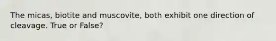 The micas, biotite and muscovite, both exhibit one direction of cleavage. True or False?