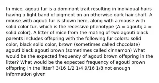 In mice, agouti fur is a dominant trait resulting in individual hairs having a light band of pigment on an otherwise dark hair shaft. A mouse with agouti fur is shown here, along with a mouse with solid color fur, which is the recessive phenotype (A = agouti; a = solid color). A litter of mice from the mating of two agouti black parents includes offspring with the following fur colors: solid color, black solid color, brown (sometimes called chocolate) agouti black agouti brown (sometimes called cinnamon) What would be the expected frequency of agouti brown offspring in the litter? What would be the expected frequency of agouti brown offspring in the litter? 3/16 1/2 1/4 9/16 1/8 not enough information given