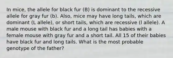 In mice, the allele for black fur (B) is dominant to the recessive allele for gray fur (b). Also, mice may have long tails, which are dominant (L allele), or short tails, which are recessive (l allele). A male mouse with black fur and a long tail has babies with a female mouse with gray fur and a short tail. All 15 of their babies have black fur and long tails. What is the most probable genotype of the father?