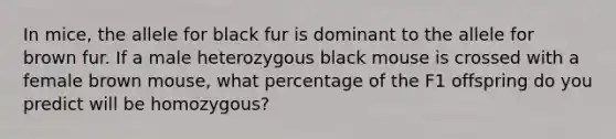 In mice, the allele for black fur is dominant to the allele for brown fur. If a male heterozygous black mouse is crossed with a female brown mouse, what percentage of the F1 offspring do you predict will be homozygous?