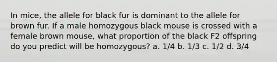 In mice, the allele for black fur is dominant to the allele for brown fur. If a male homozygous black mouse is crossed with a female brown mouse, what proportion of the black F2 offspring do you predict will be homozygous? a. 1/4 b. 1/3 c. 1/2 d. 3/4