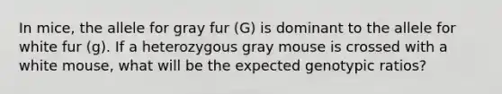 In mice, the allele for gray fur (G) is dominant to the allele for white fur (g). If a heterozygous gray mouse is crossed with a white mouse, what will be the expected genotypic ratios?