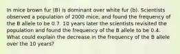 In mice brown fur (B) is dominant over white fur (b). Scientists observed a population of 2000 mice, and found the frequency of the B allele to be 0.7. 10 years later the scientists revisited the population and found the frequency of the B allele to be 0.4. What could explain the decrease in the frequency of the B allele over the 10 years?