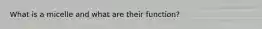 What is a micelle and what are their function?