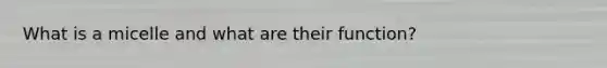 What is a micelle and what are their function?