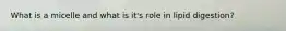 What is a micelle and what is it's role in lipid digestion?
