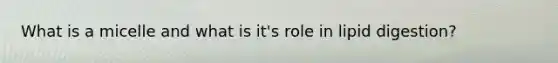 What is a micelle and what is it's role in lipid digestion?