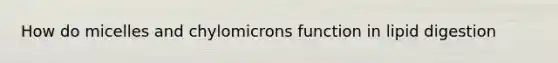 How do micelles and chylomicrons function in lipid digestion