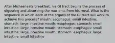 After Michael eats breakfast, his GI tract begins the process of digesting and absorbing the nutrients from his meal. What is the sequence in which each of the organs of the GI tract will work to achieve this process? mouth: esophagus: small intestine: stomach: large intestine mouth: esophagus: stomach: small intestine: large intestine mouth: stomach: esophagus: small intestine: large intestine mouth: stomach: esophagus: large intestine: small intestine