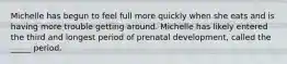 Michelle has begun to feel full more quickly when she eats and is having more trouble getting around. Michelle has likely entered the third and longest period of prenatal development, called the _____ period.