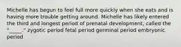 Michelle has begun to feel full more quickly when she eats and is having more trouble getting around. Michelle has likely entered the third and longest period of prenatal development, called the "_____." zygotic period fetal period germinal period embryonic period