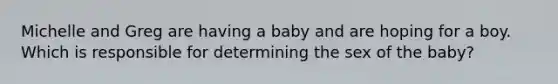 Michelle and Greg are having a baby and are hoping for a boy. Which is responsible for determining the sex of the baby?