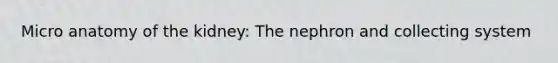 Micro anatomy of the kidney: The nephron and collecting system
