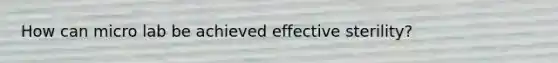 How can micro lab be achieved effective sterility?