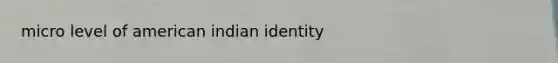 micro level of american indian identity