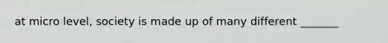 at micro level, society is made up of many different _______