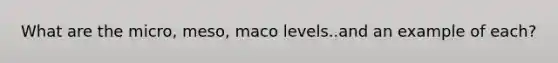 What are the micro, meso, maco levels..and an example of each?