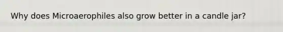 Why does Microaerophiles also grow better in a candle jar?