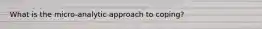 What is the micro-analytic approach to coping?