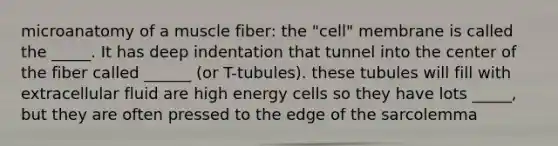 microanatomy of a muscle fiber: the "cell" membrane is called the _____. It has deep indentation that tunnel into the center of the fiber called ______ (or T-tubules). these tubules will fill with extracellular fluid are high energy cells so they have lots _____, but they are often pressed to the edge of the sarcolemma