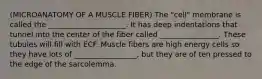 (MICROANATOMY OF A MUSCLE FIBER) The "cell" membrane is called the _____________________. It has deep indentations that tunnel into the center of the fiber called ________________. These tubules will fill with ECF. Muscle fibers are high energy cells so they have lots of _________________, but they are of ten pressed to the edge of the sarcolemma.