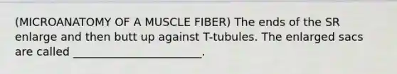 (MICROANATOMY OF A MUSCLE FIBER) The ends of the SR enlarge and then butt up against T-tubules. The enlarged sacs are called _______________________.