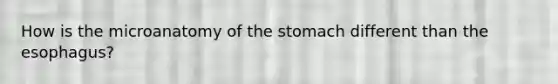 How is the microanatomy of the stomach different than the esophagus?