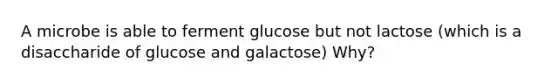 A microbe is able to ferment glucose but not lactose (which is a disaccharide of glucose and galactose) Why?