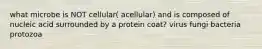 what microbe is NOT cellular( acellular) and is composed of nucleic acid surrounded by a protein coat? virus fungi bacteria protozoa