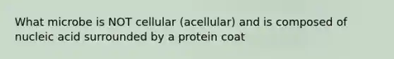 What microbe is NOT cellular (acellular) and is composed of nucleic acid surrounded by a protein coat