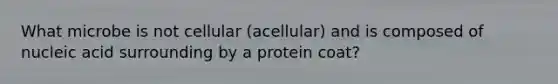 What microbe is not cellular (acellular) and is composed of nucleic acid surrounding by a protein coat?