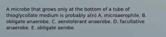 A microbe that grows only at the bottom of a tube of thioglycollate medium is probably a(n) A. microaerophile. B. obligate anaerobe. C. aerotolerant anaerobe. D. facultative anaerobe. E. obligate aerobe.