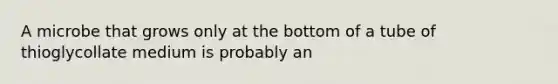 A microbe that grows only at the bottom of a tube of thioglycollate medium is probably an