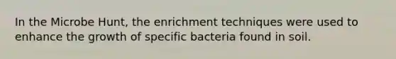 In the Microbe Hunt, the enrichment techniques were used to enhance the growth of specific bacteria found in soil.