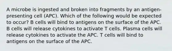 A microbe is ingested and broken into fragments by an antigen-presenting cell (APC). Which of the following would be expected to occur? B cells will bind to antigens on the surface of the APC. B cells will release cytokines to activate T cells. Plasma cells will release cytokines to activate the APC. T cells will bind to antigens on the surface of the APC.