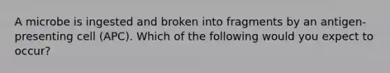 A microbe is ingested and broken into fragments by an antigen-presenting cell (APC). Which of the following would you expect to occur?