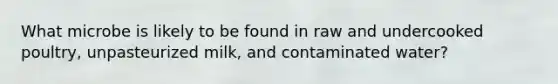 What microbe is likely to be found in raw and undercooked poultry, unpasteurized milk, and contaminated water?