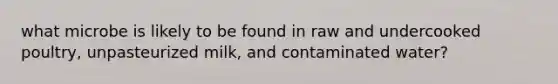 what microbe is likely to be found in raw and undercooked poultry, unpasteurized milk, and contaminated water?