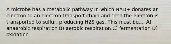 A microbe has a metabolic pathway in which NAD+ donates an electron to an electron transport chain and then the electron is transported to sulfur, producing H2S gas. This must be.... A) anaerobic respiration B) aerobic respiration C) fermentation D) oxidation