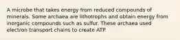 A microbe that takes energy from reduced compounds of minerals. Some archaea are lithotrophs and obtain energy from inorganic compounds such as sulfur. These archaea used electron transport chains to create ATP.