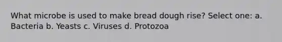 What microbe is used to make bread dough rise? Select one: a. Bacteria b. Yeasts c. Viruses d. Protozoa