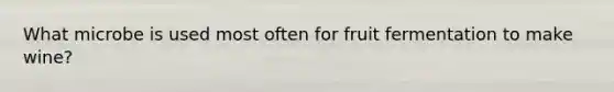 What microbe is used most often for fruit fermentation to make wine?