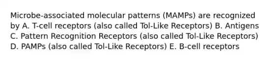 Microbe-associated molecular patterns (MAMPs) are recognized by A. T-cell receptors (also called Tol-Like Receptors) B. Antigens C. Pattern Recognition Receptors (also called Tol-Like Receptors) D. PAMPs (also called Tol-Like Receptors) E. B-cell receptors