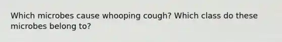 Which microbes cause whooping cough? Which class do these microbes belong to?