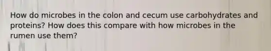 How do microbes in the colon and cecum use carbohydrates and proteins? How does this compare with how microbes in the rumen use them?