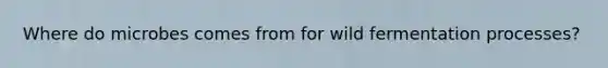Where do microbes comes from for wild fermentation processes?