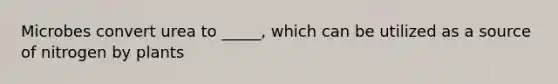 Microbes convert urea to _____, which can be utilized as a source of nitrogen by plants